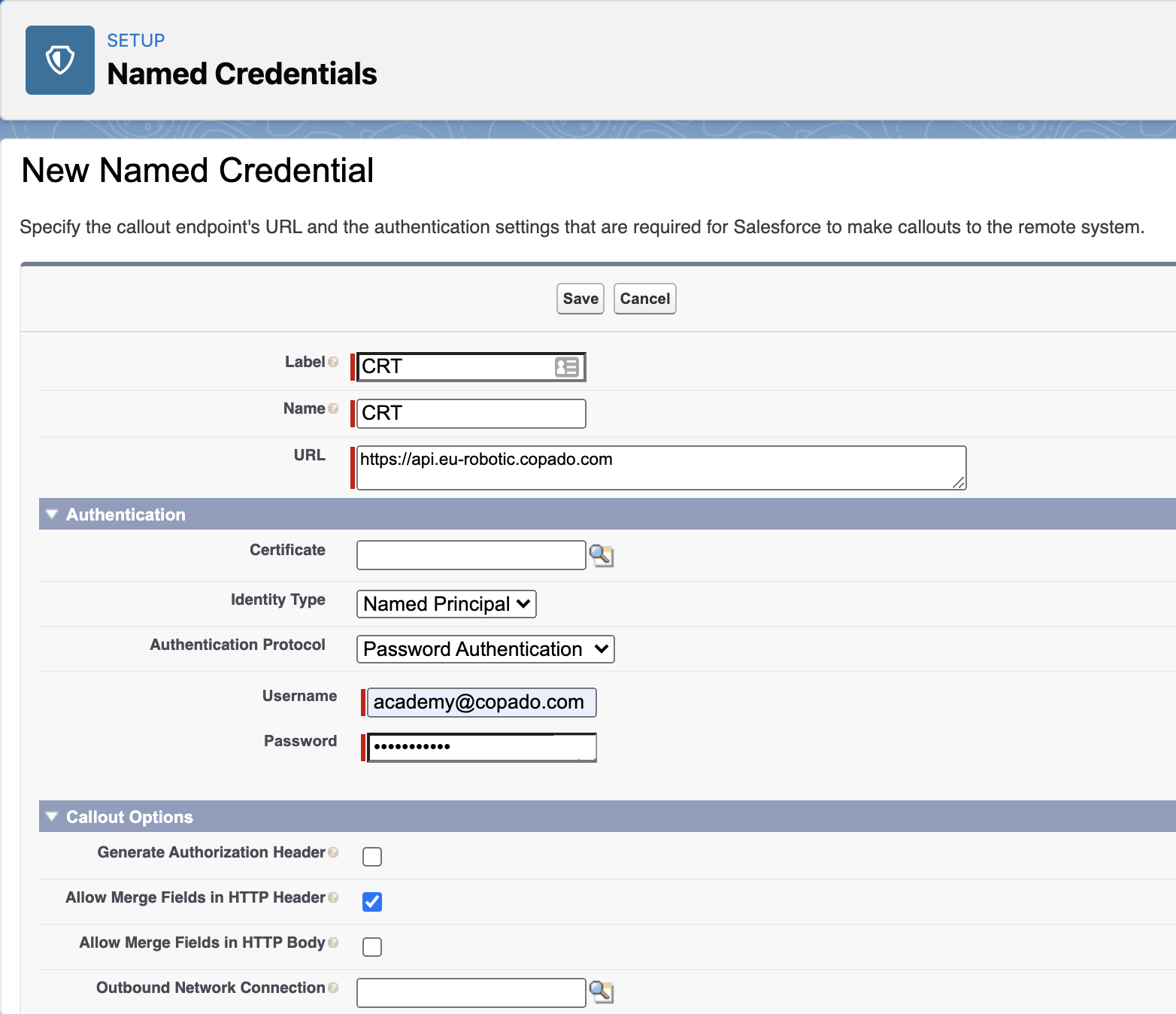 Free Copado-Robotic-Testing Exam