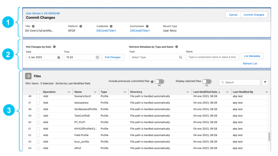 page layout assignment deployment through copado